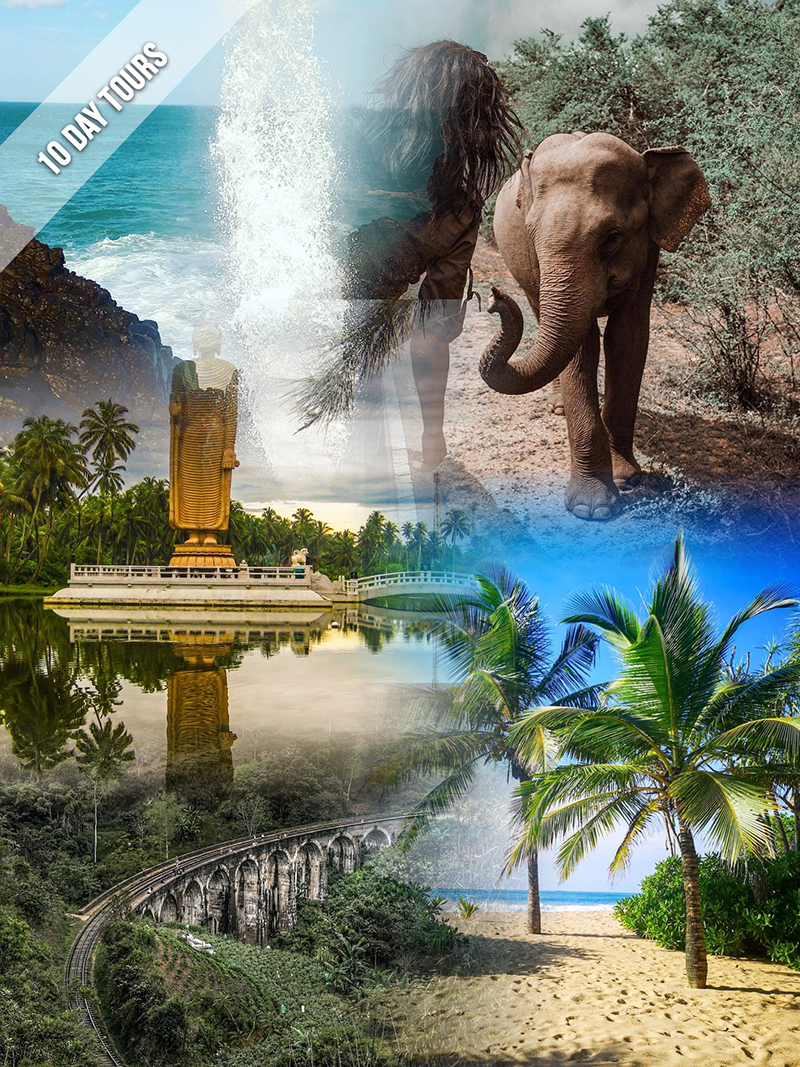 tour-packages-in-sri-lanka-budget-tour-package-sri-lanka-family